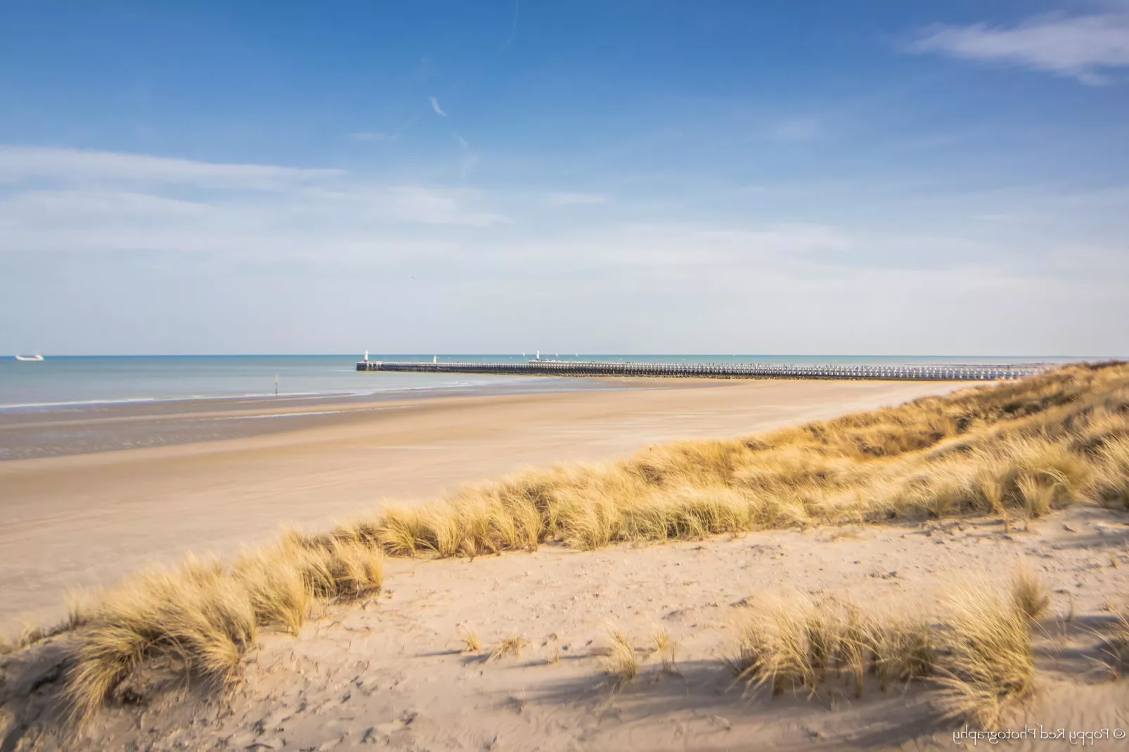SEASIGHT A 0303GAR-View summer