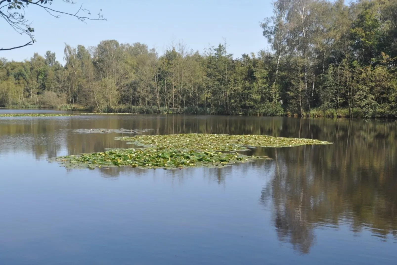 Huus an de Geestkant-Water view