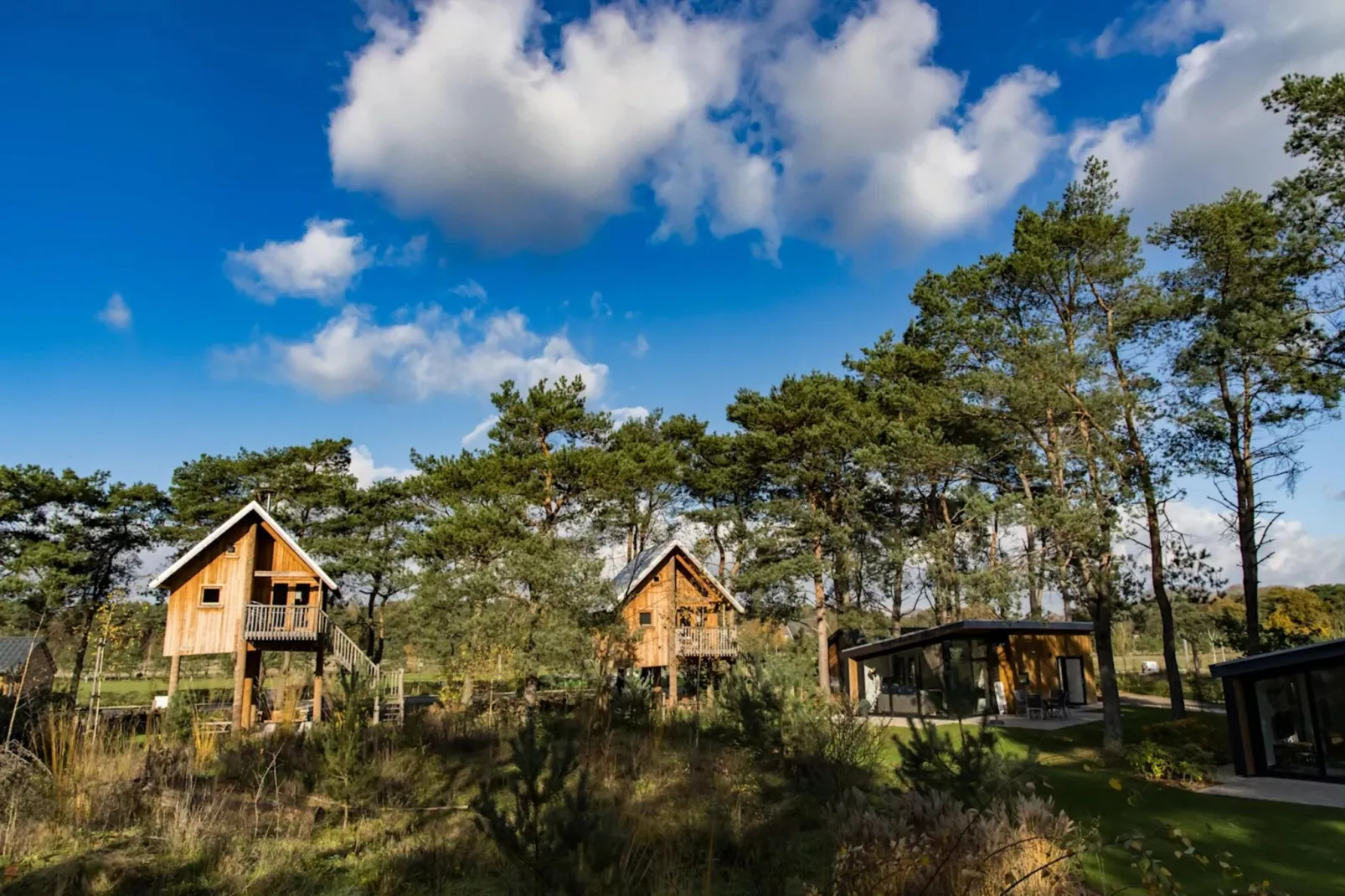 Resort De Wije Werelt 15-Park facilities