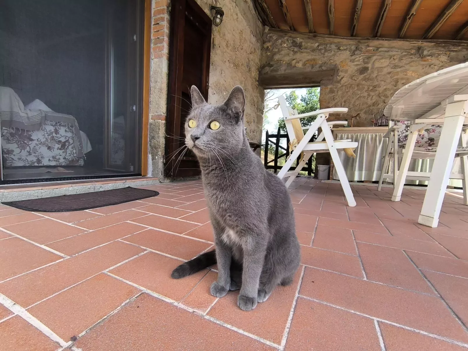 Il Grillo Parlante-Outside