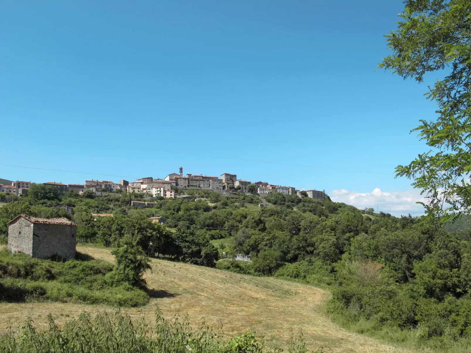 Il Grillo Parlante-Area