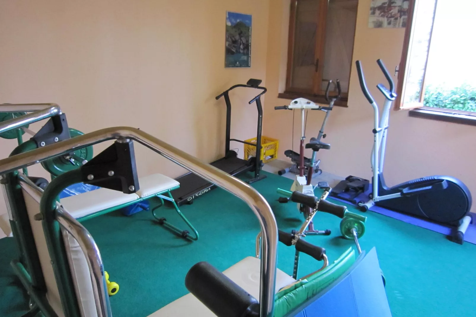 Fattore-Gym