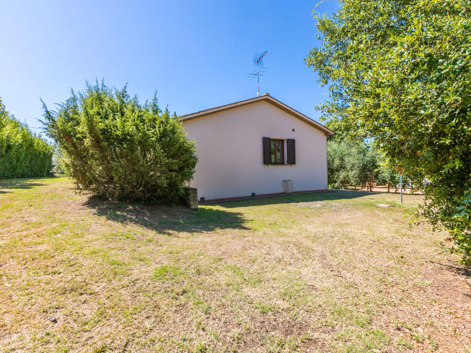 Oliveta 2-Outside