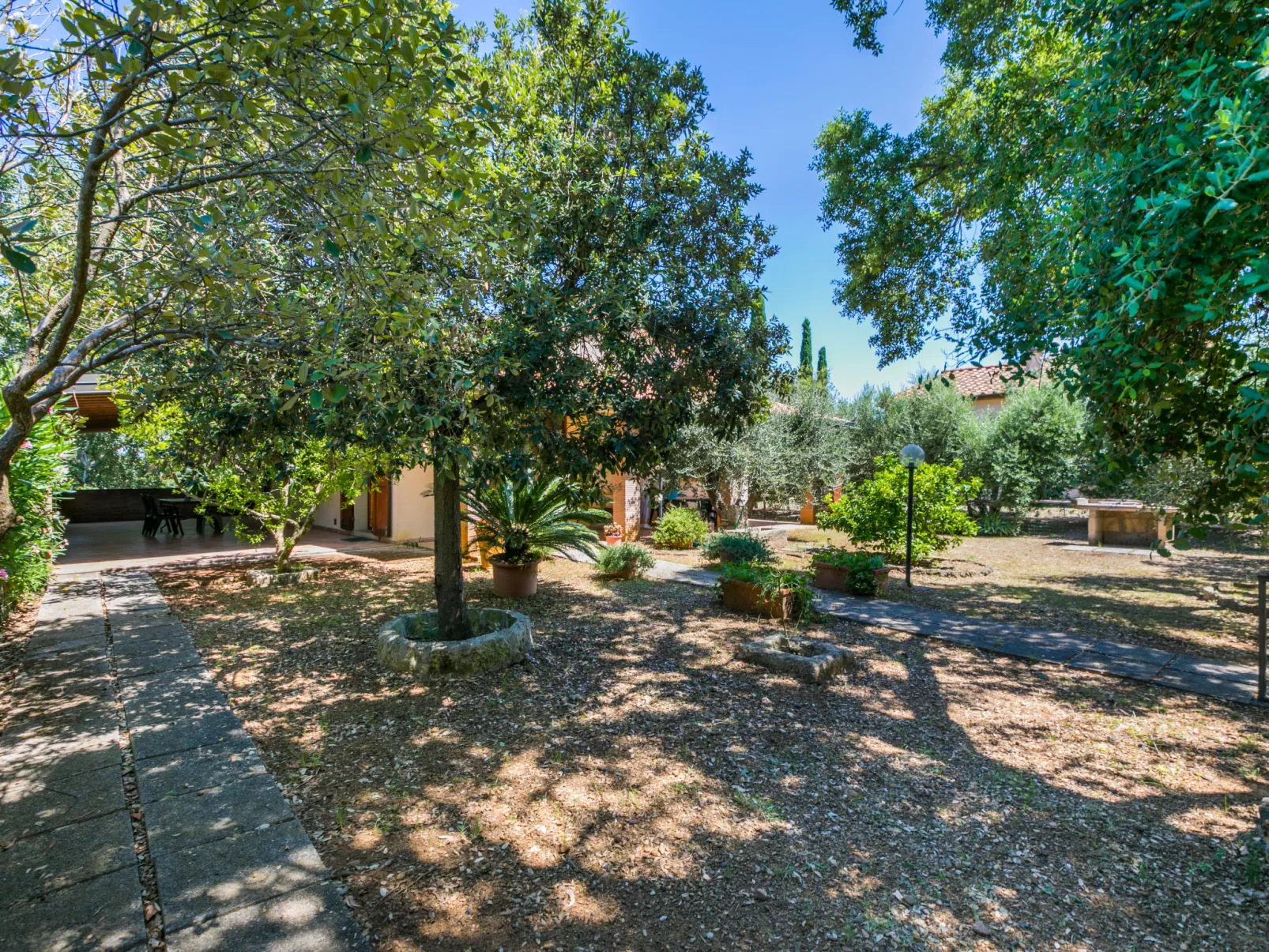 Oliveta 1-Outside