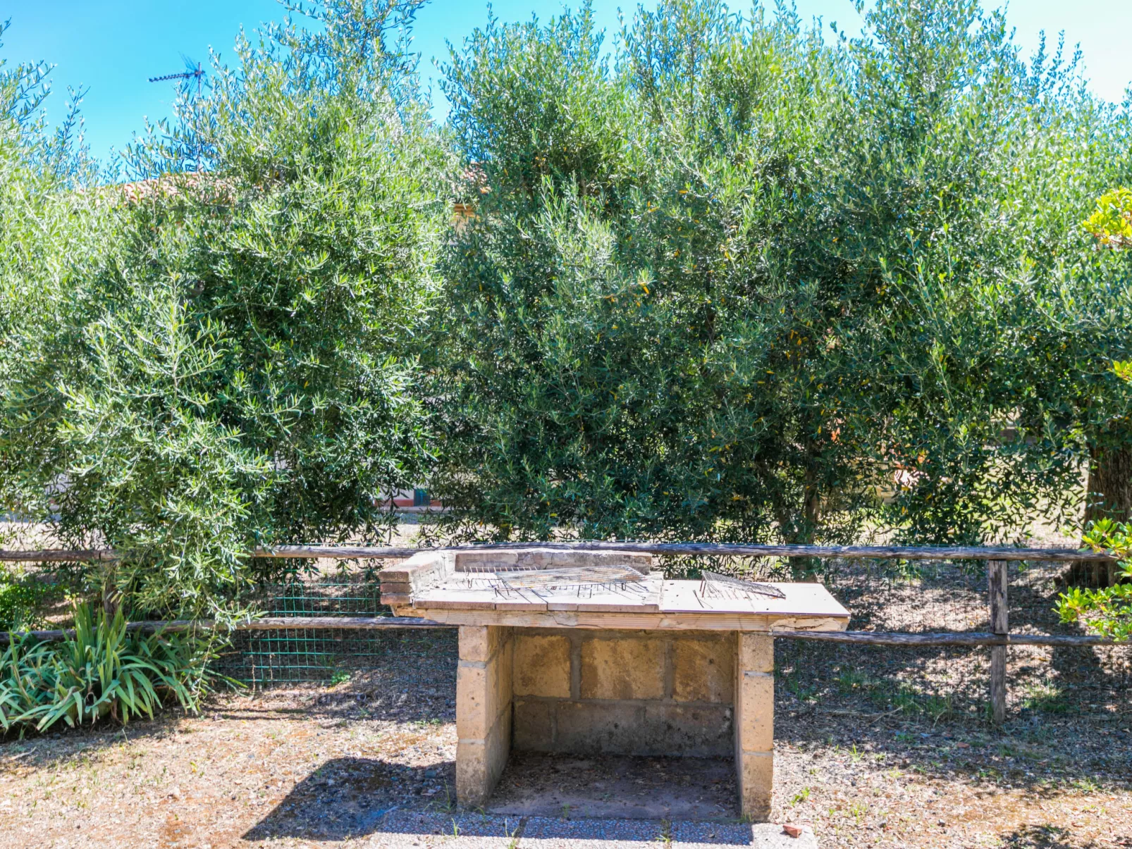 Oliveta 1-Outside