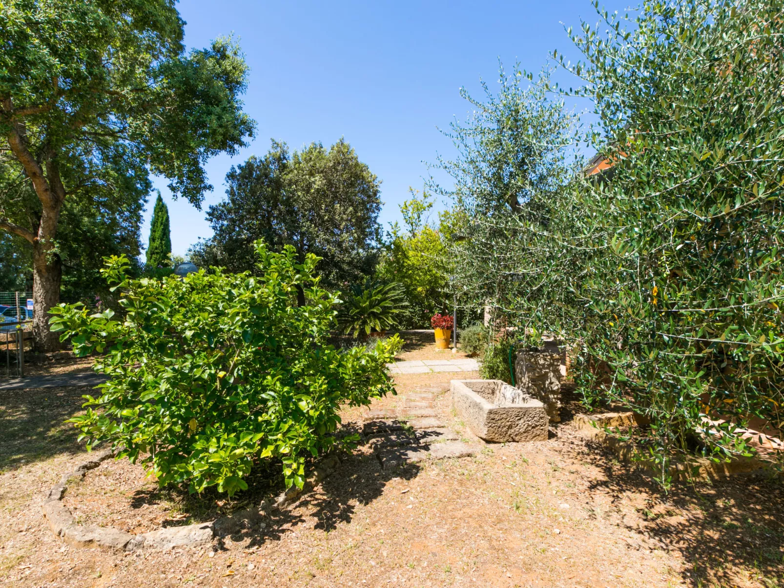 Oliveta 1-Outside