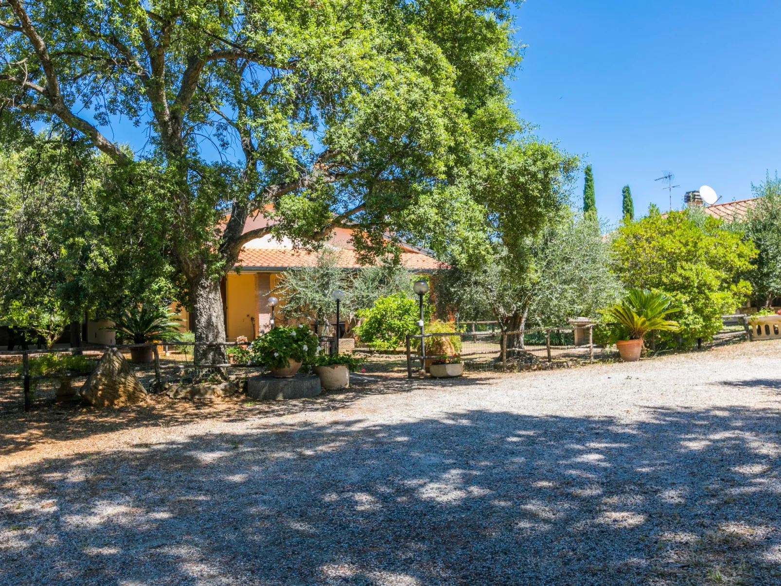 Oliveta 1-Outside