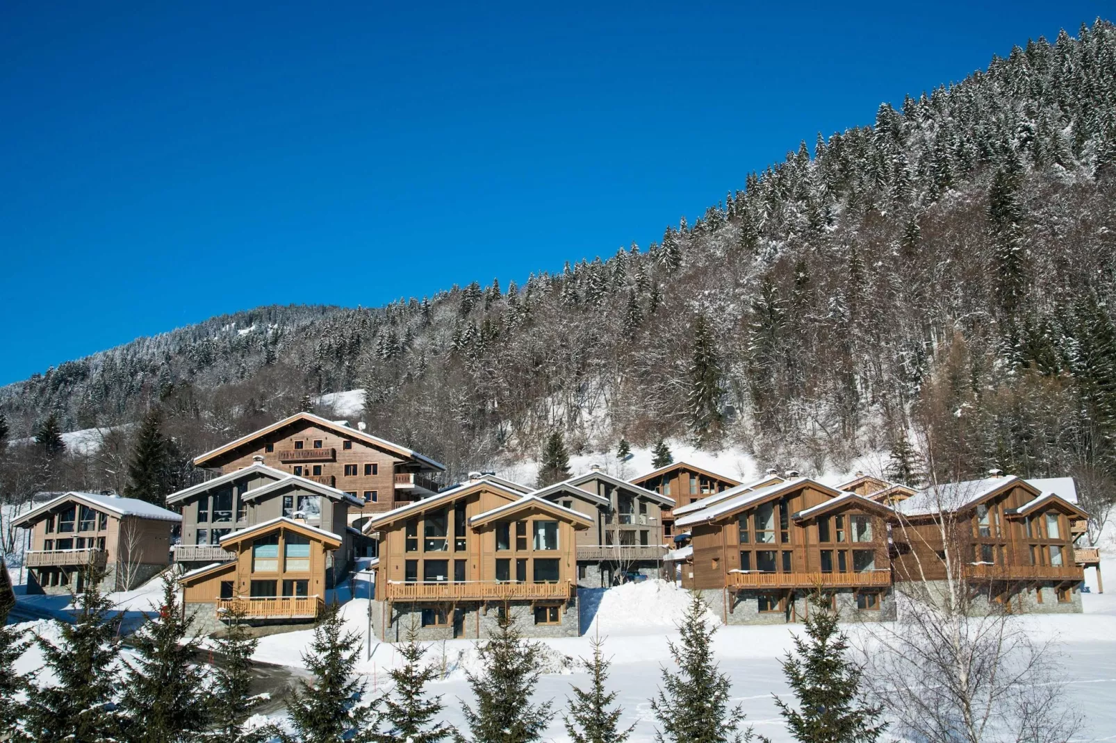 Les Portes de Megève 1-Exterior winter