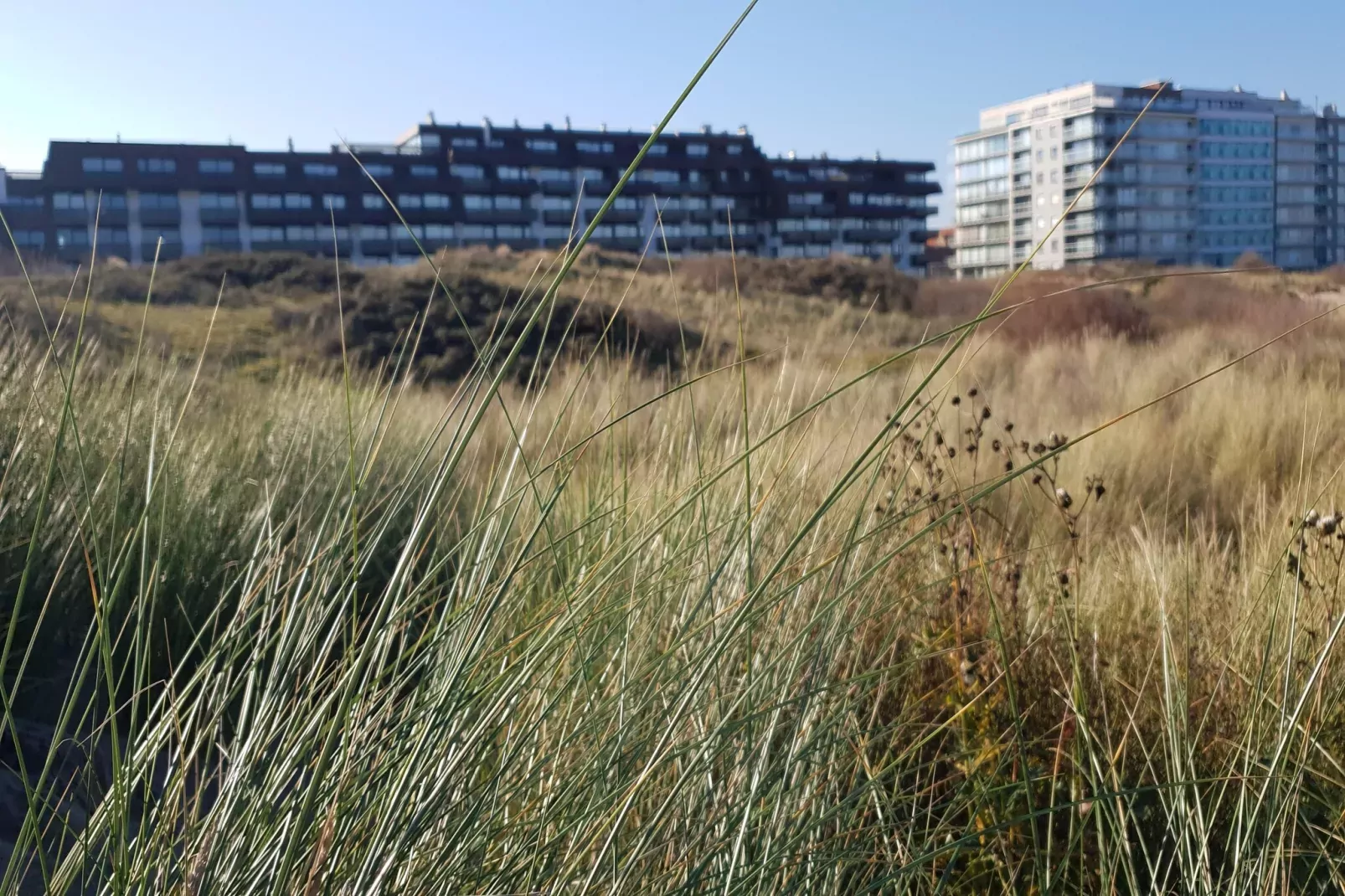 BRITANNI/BRIT0702-Gebiete Sommer 1 km