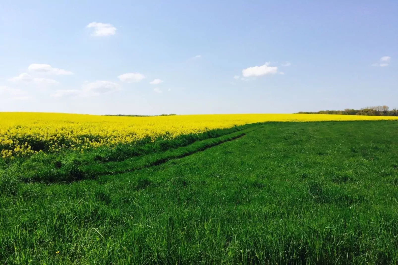 138809-Gebiete Sommer 20 km