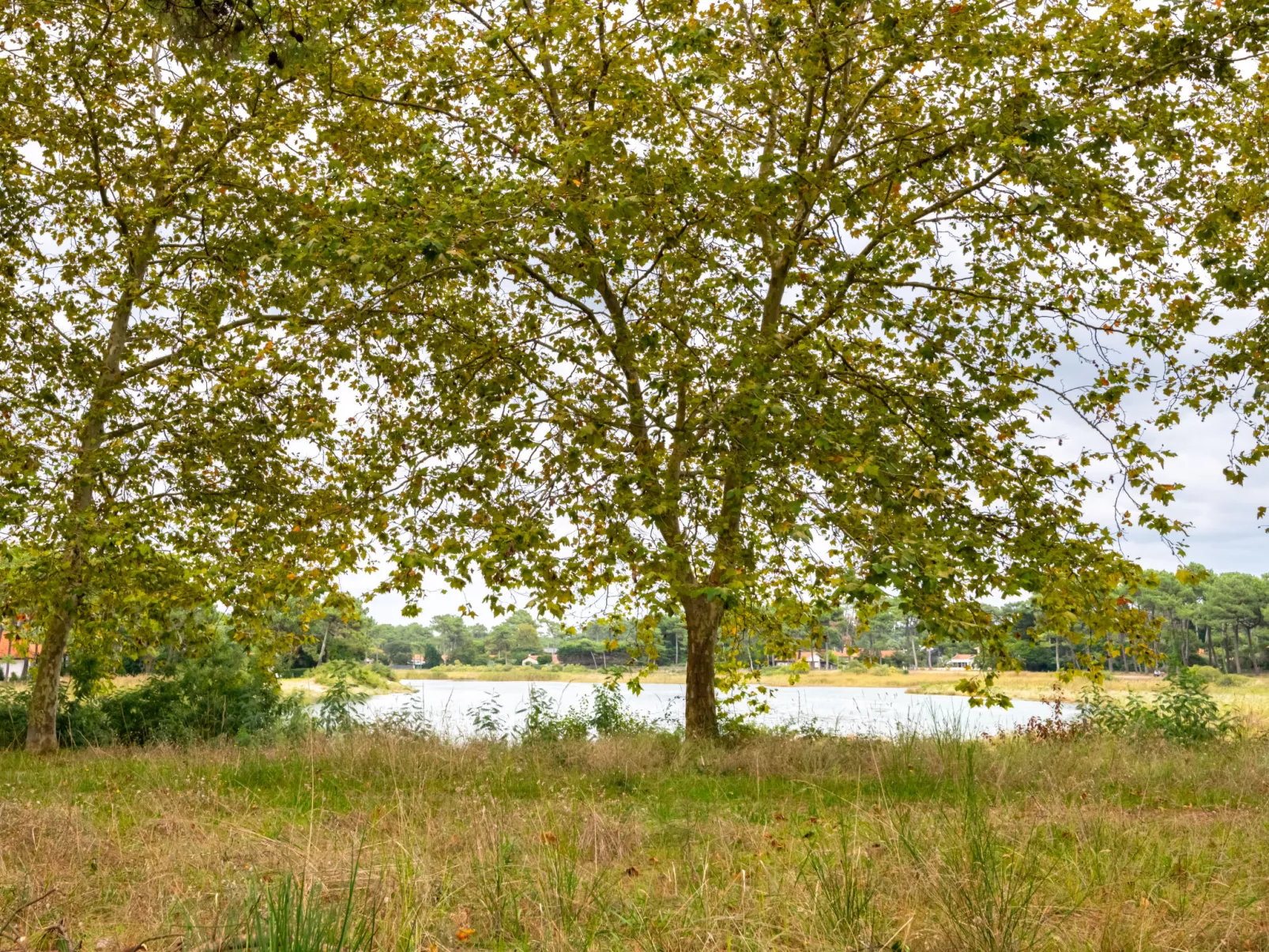 Hameau du courant-Outside
