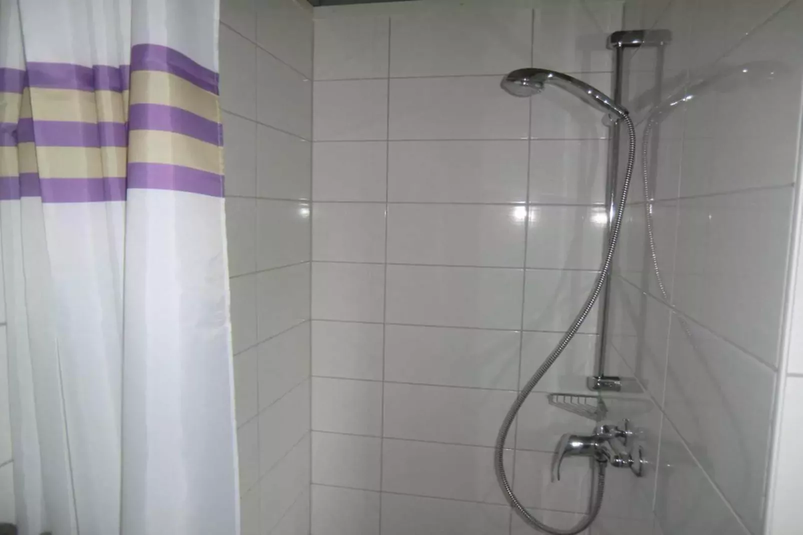 FH Wildgans Comfort Nr49-Bathroom