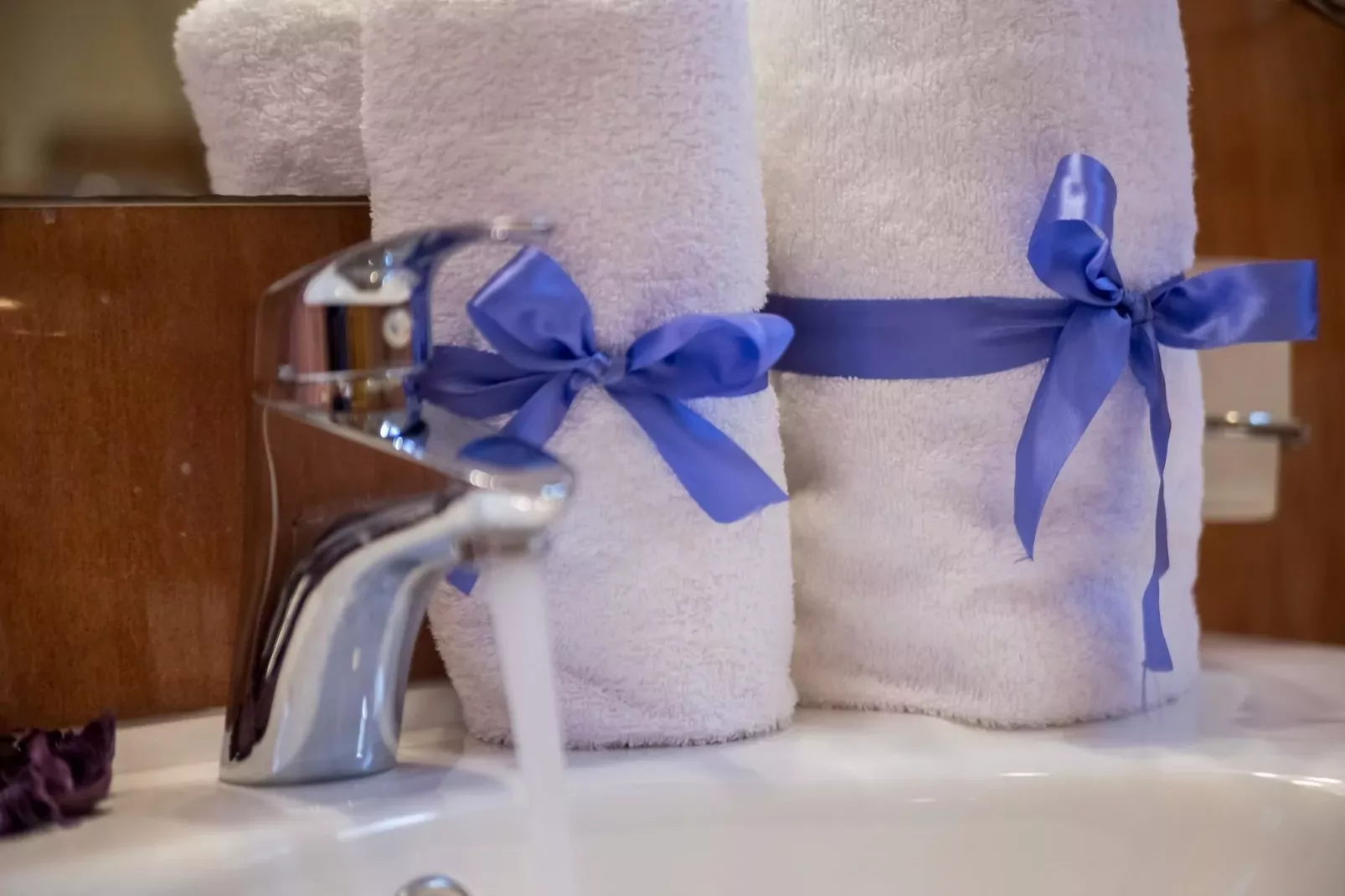 Marija Privatno 2-Bathroom