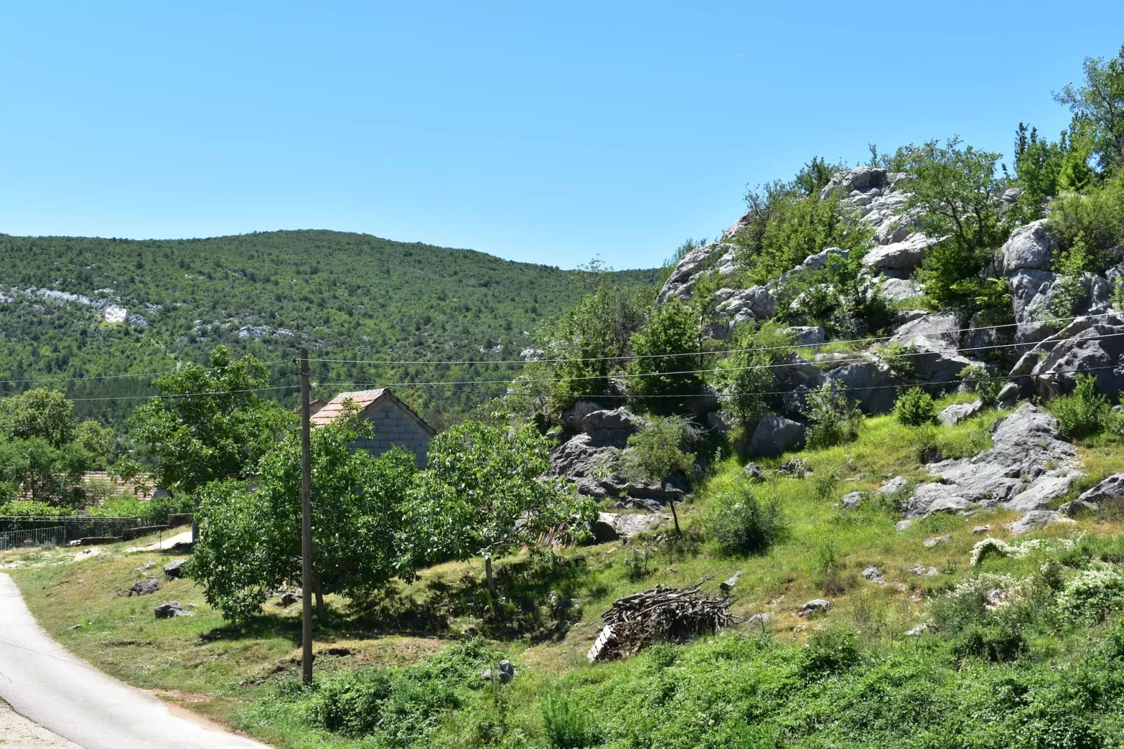 Ante-Vue d'été