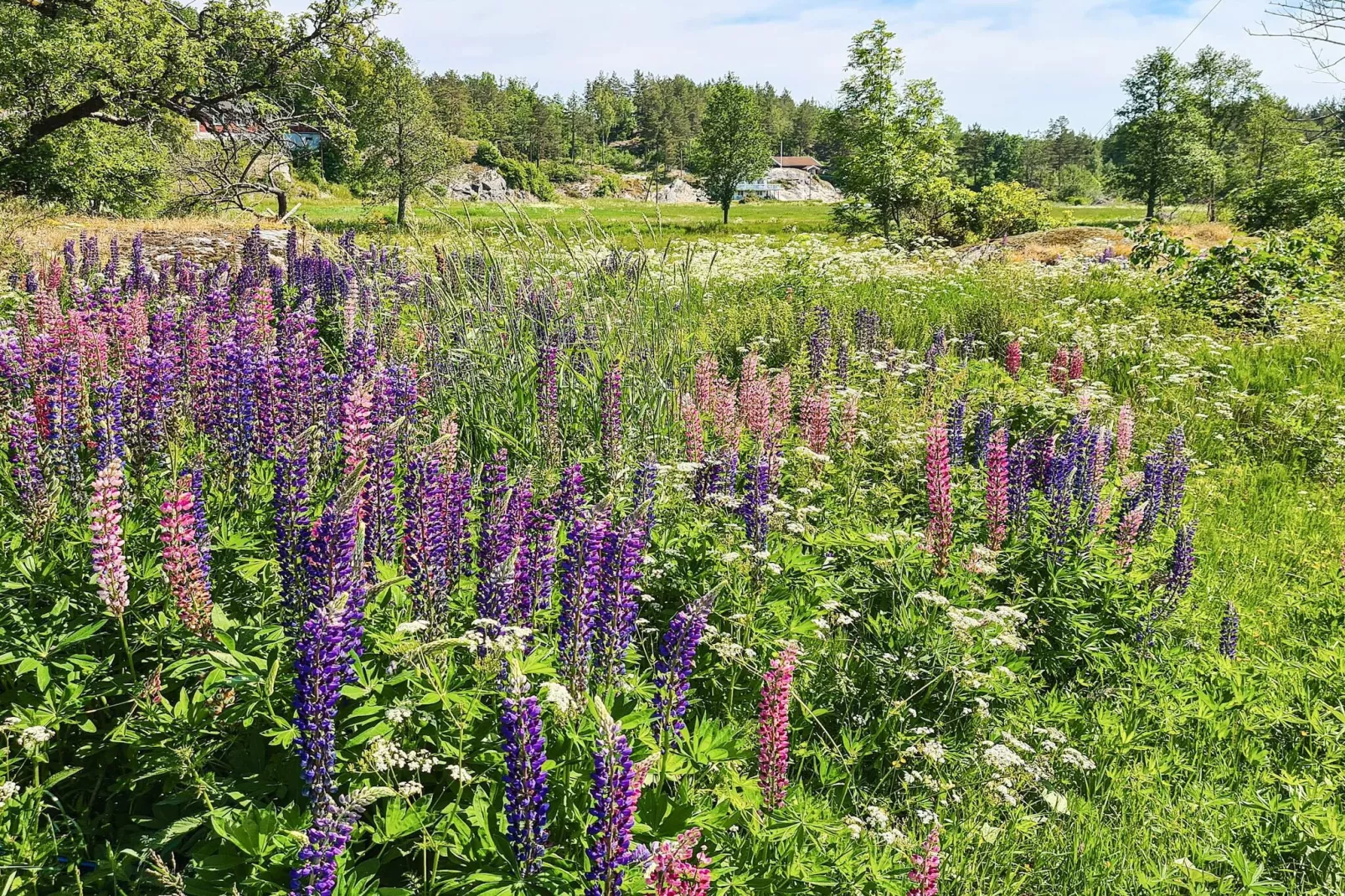 10 person holiday home in Søndeled-Not tagged