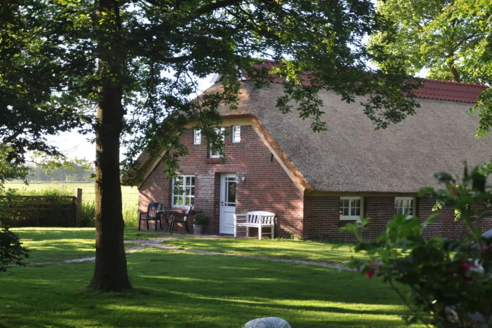 117658-Exterior summer