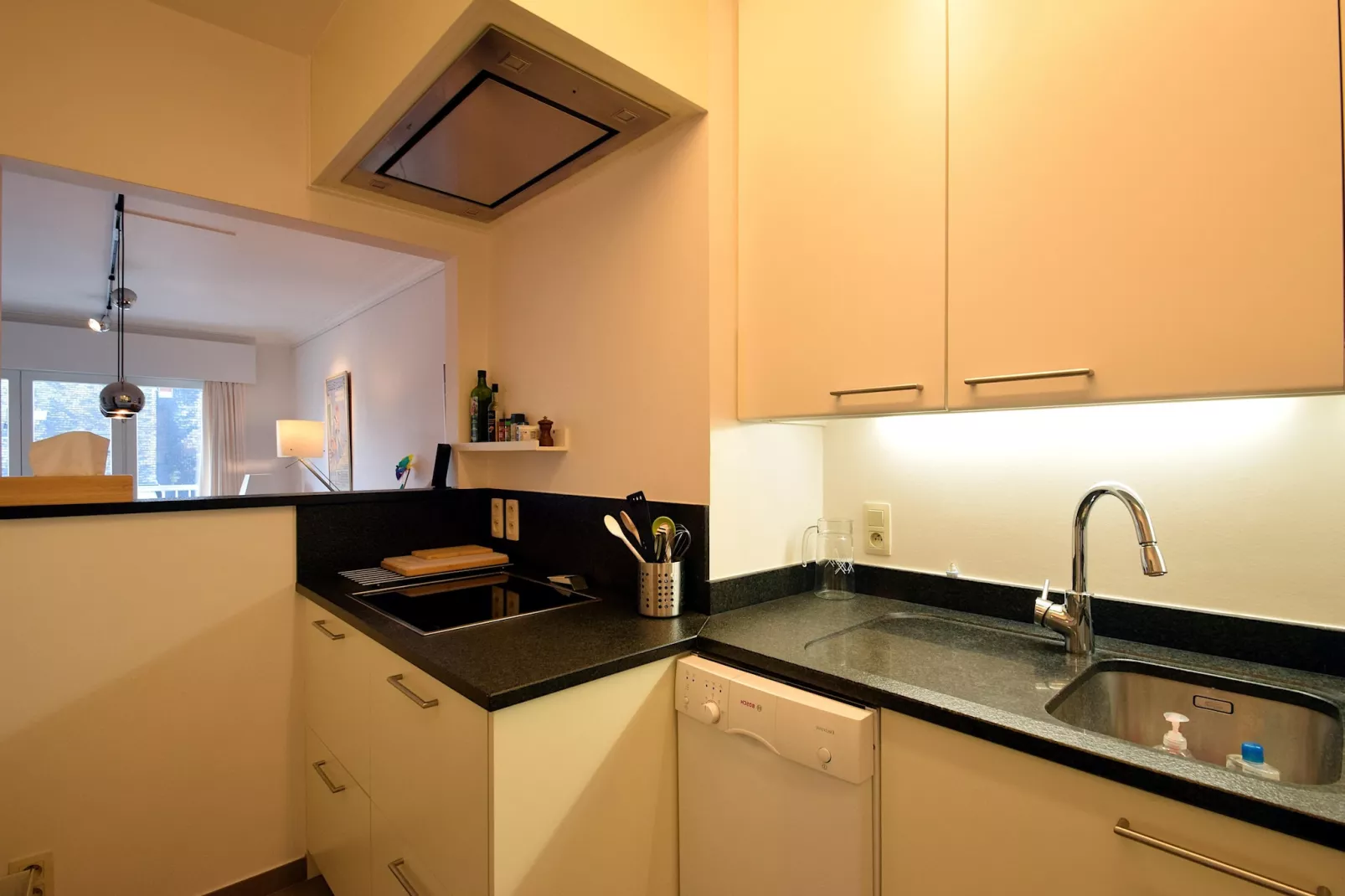 Trianon 0304 3D-Cuisine
