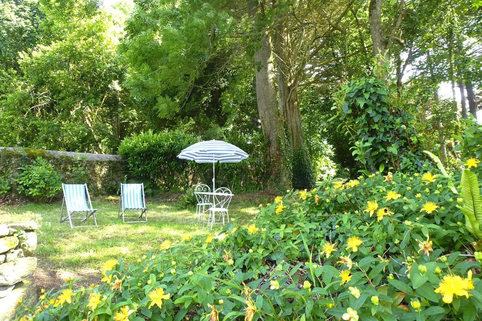 Beautiful country house on common property Plougrescant-Facilities