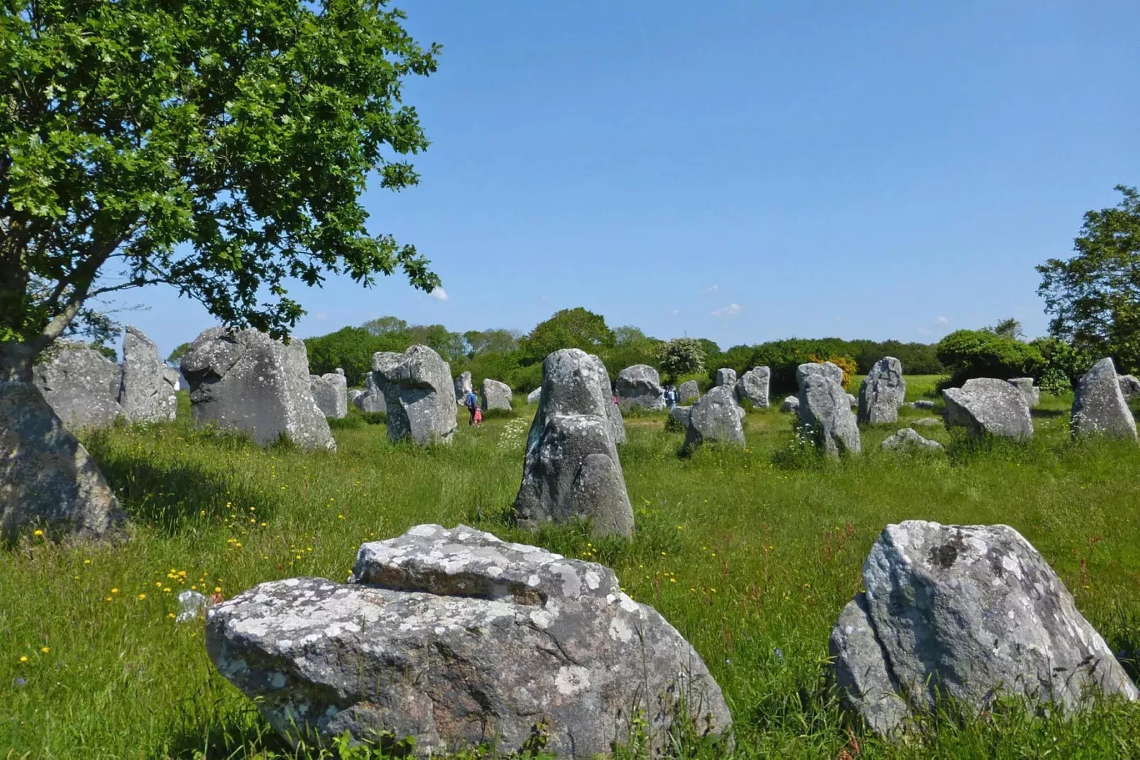 Holiday home Carnac-Areas summer 1km
