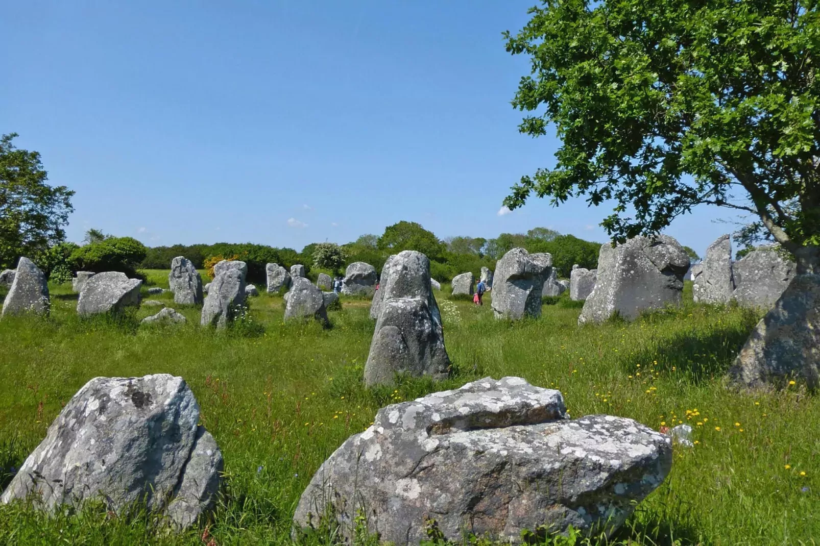 Holiday home Carnac-Areas summer 1km