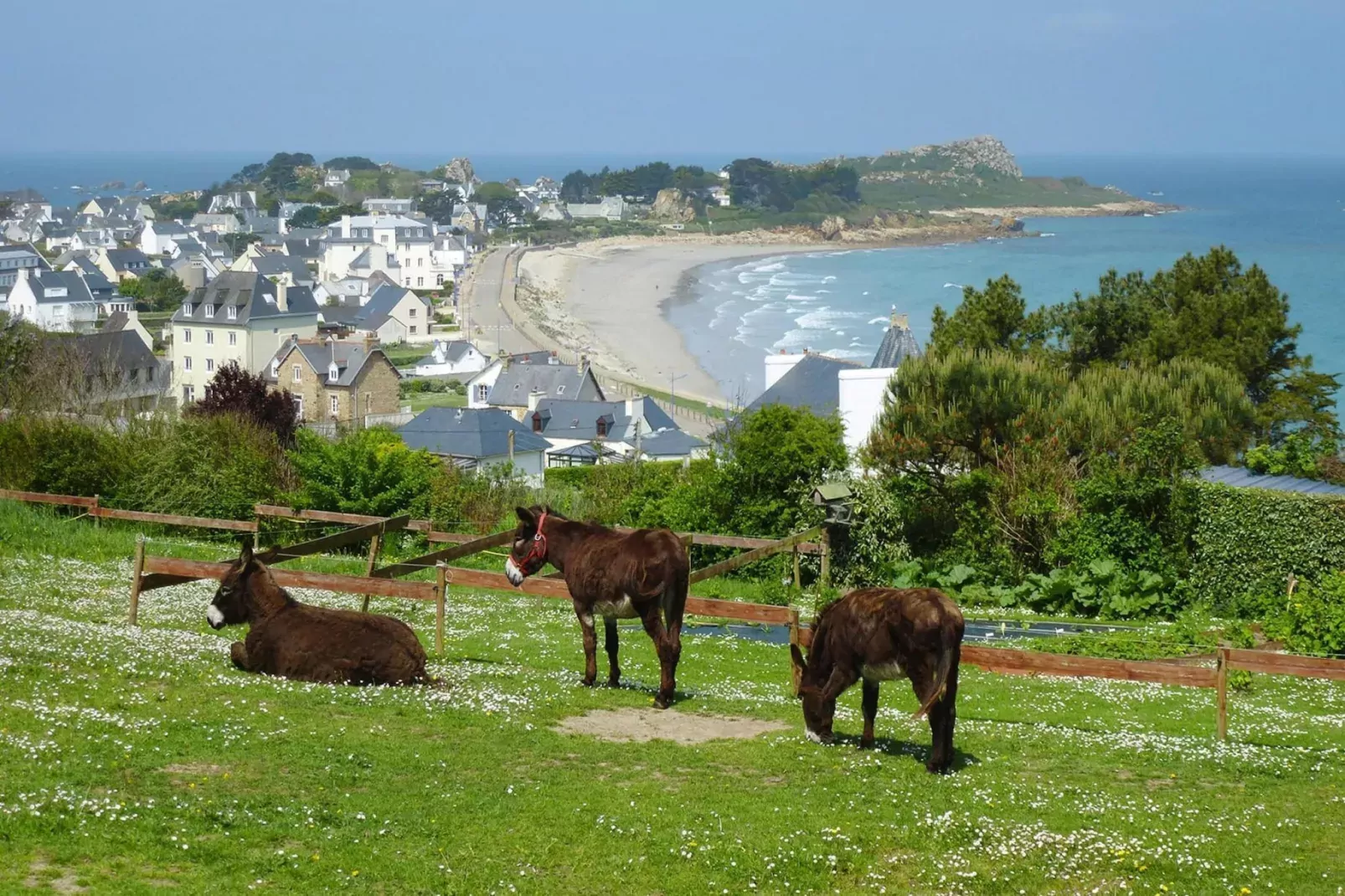 Natural stone cottage with garden and sea view on Breton estate Plougasnou-Gebiete Sommer 1 km