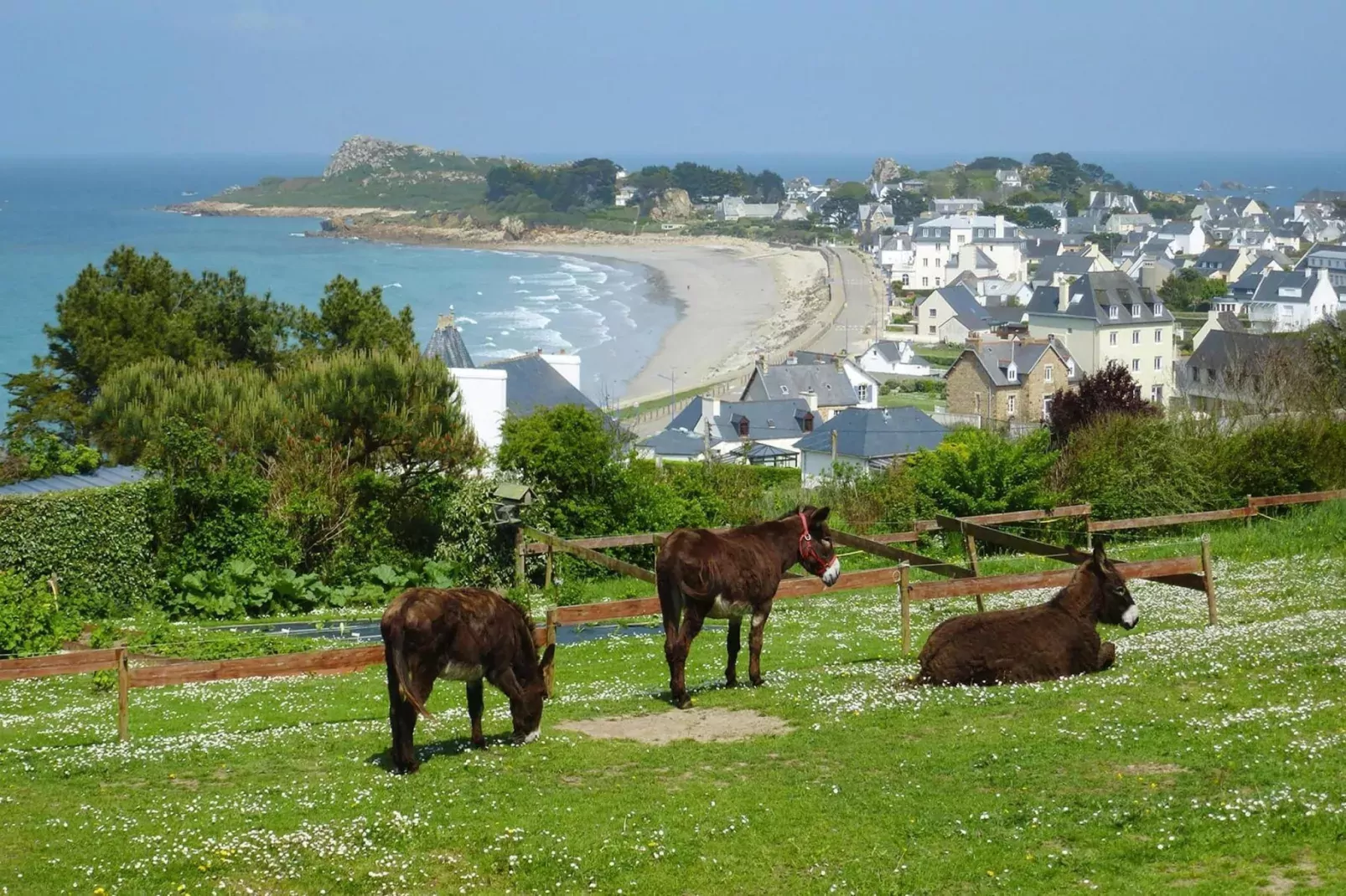 Natural stone cottage with garden and sea view on Breton estate Plougasnou-Gebiete Sommer 5 km