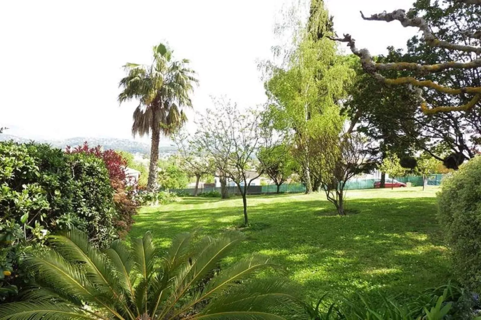 Ferienhaus in Cagnes-sur-Mer-Areas summer 1km