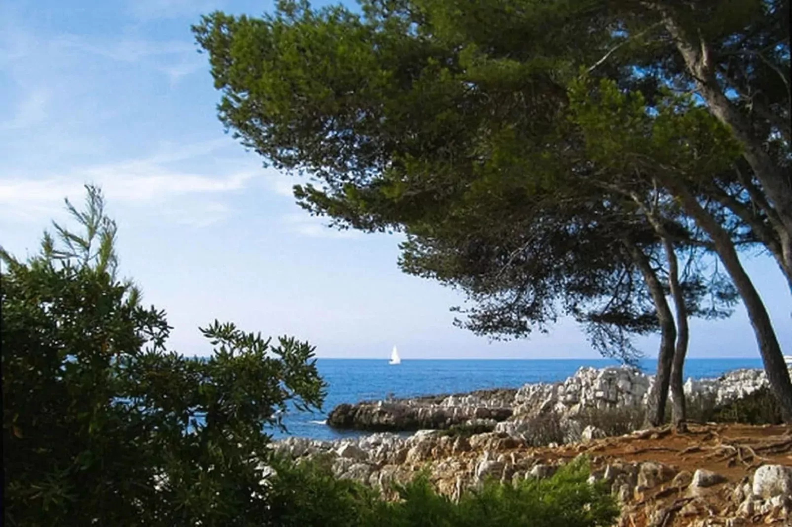 Ferienhaus in Cagnes-sur-Mer-Areas summer 5km