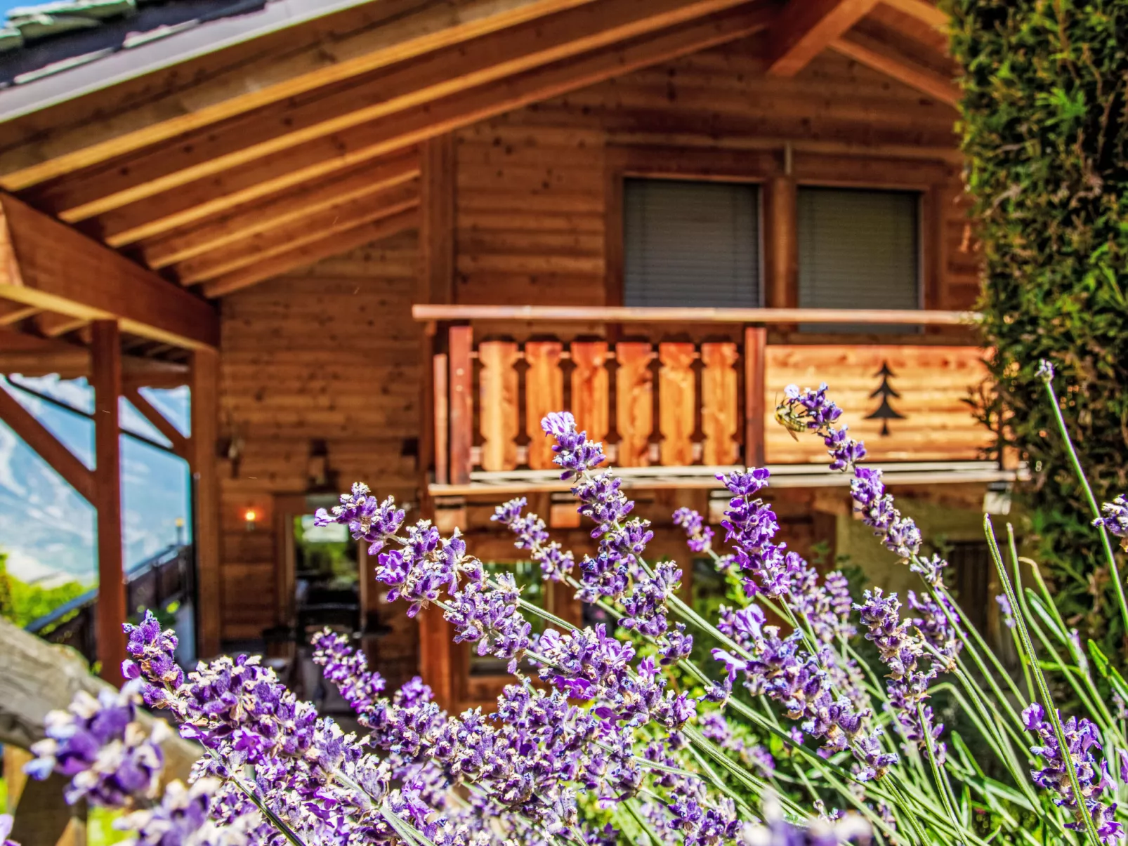 Chalet Aurore-Outside
