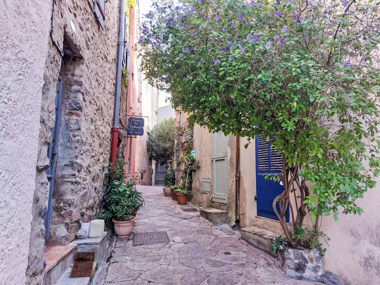 Bonne Terrasse-Area