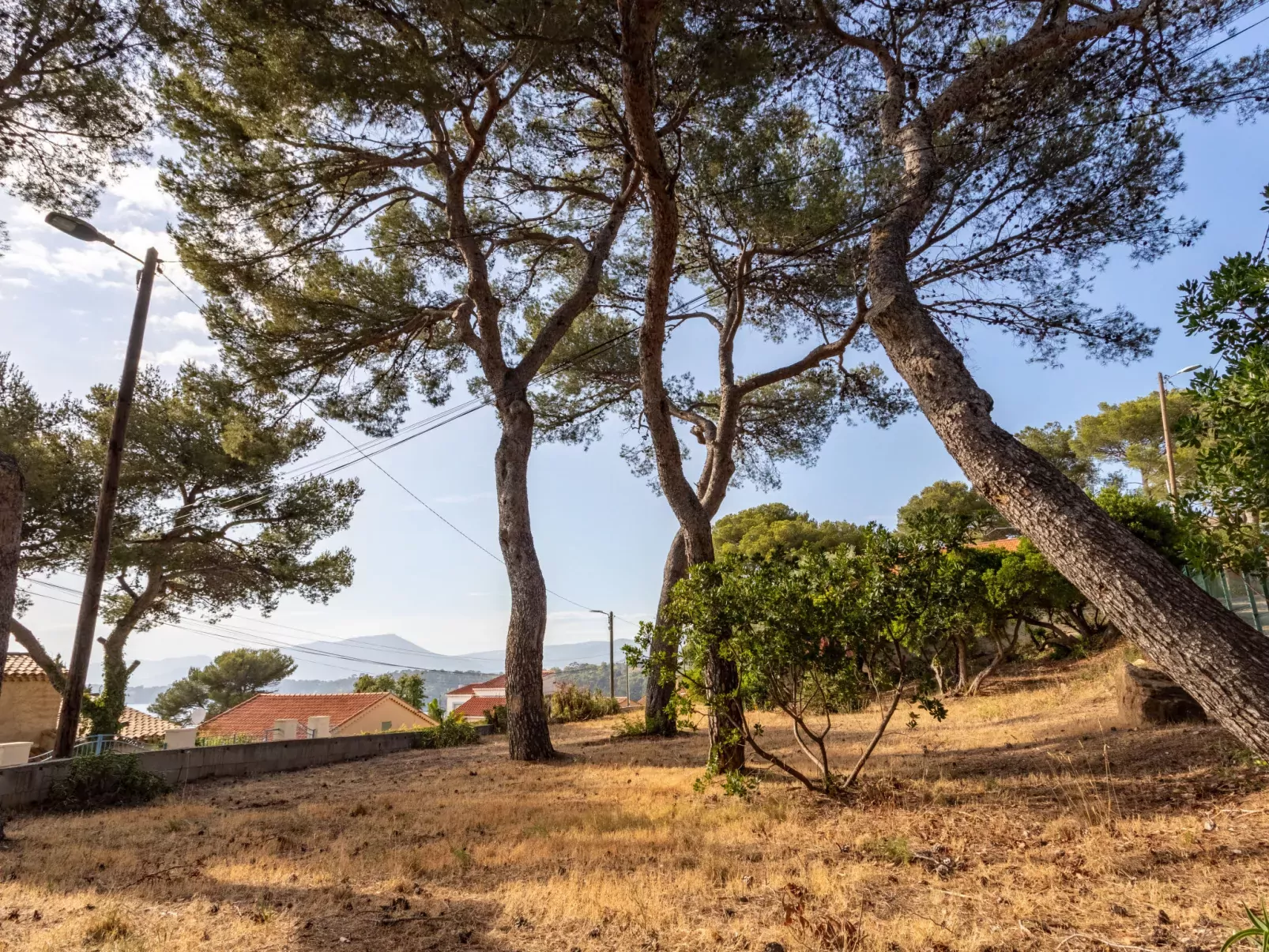 Le Provençal-Dehors