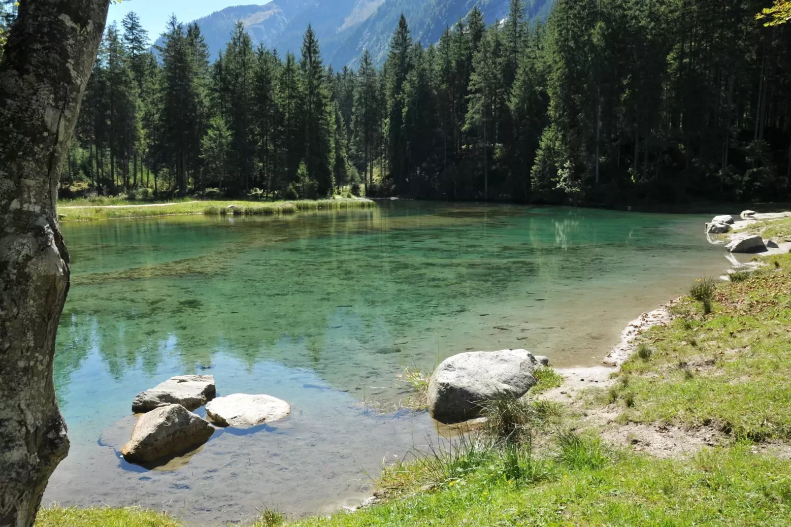 Residenz Wildkogelbahnen Top 6-Zones d'été à 5 km