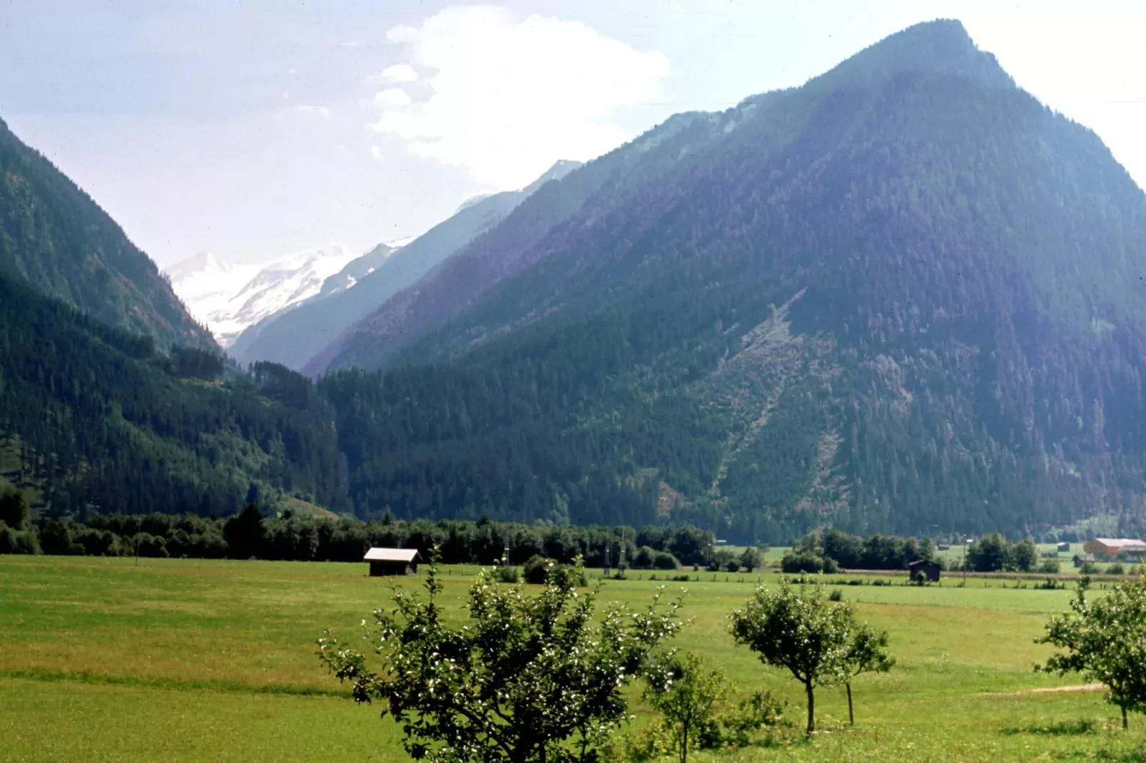 Residenz Wildkogelbahnen Top 6-Zones d'été à 5 km
