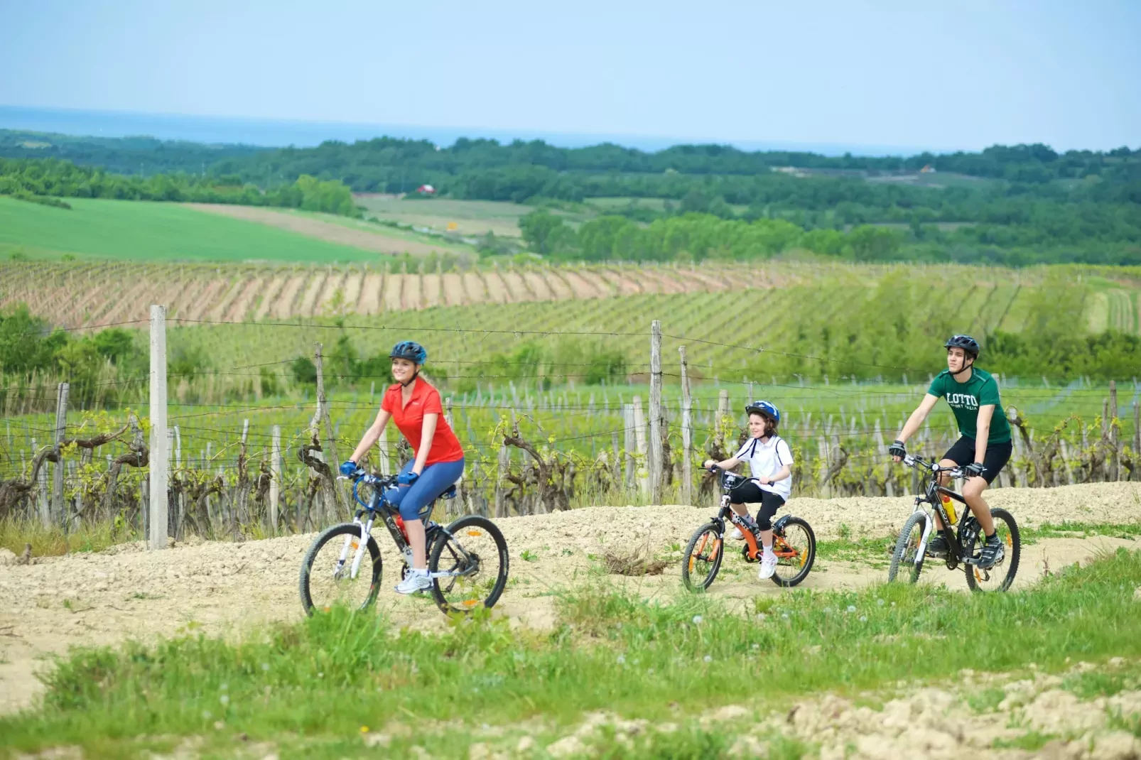 Aminess Sirena Campsite - Mobile home Premium - Novigrad - Istria-Gebiete Sommer 5 km