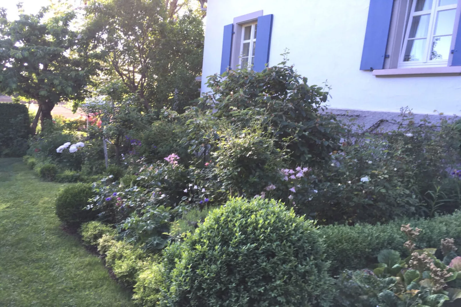 396499-Exterior summer