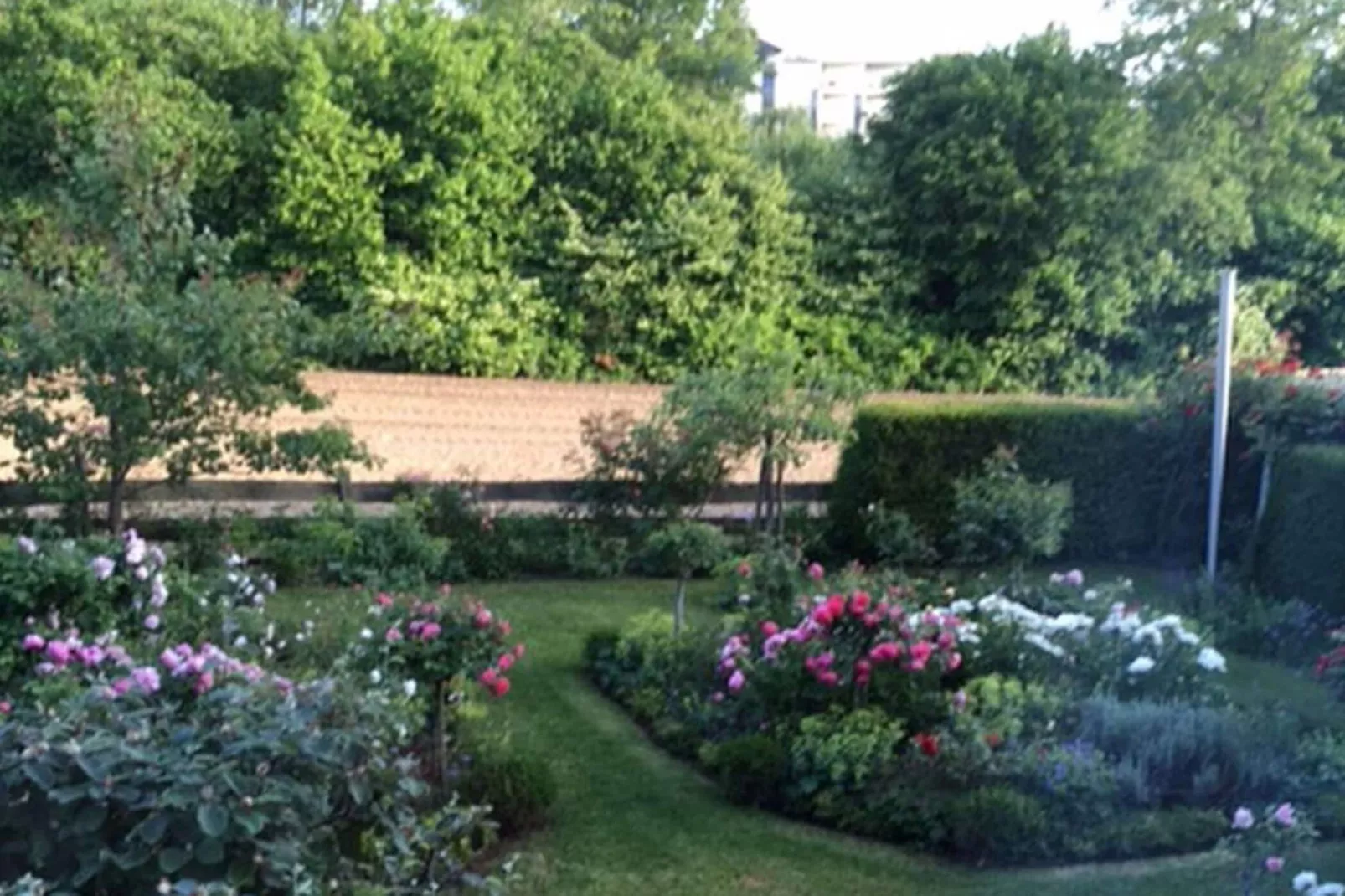 396499-Gardens summer