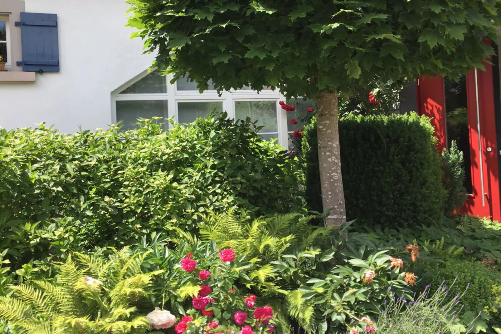 396499-Gardens summer