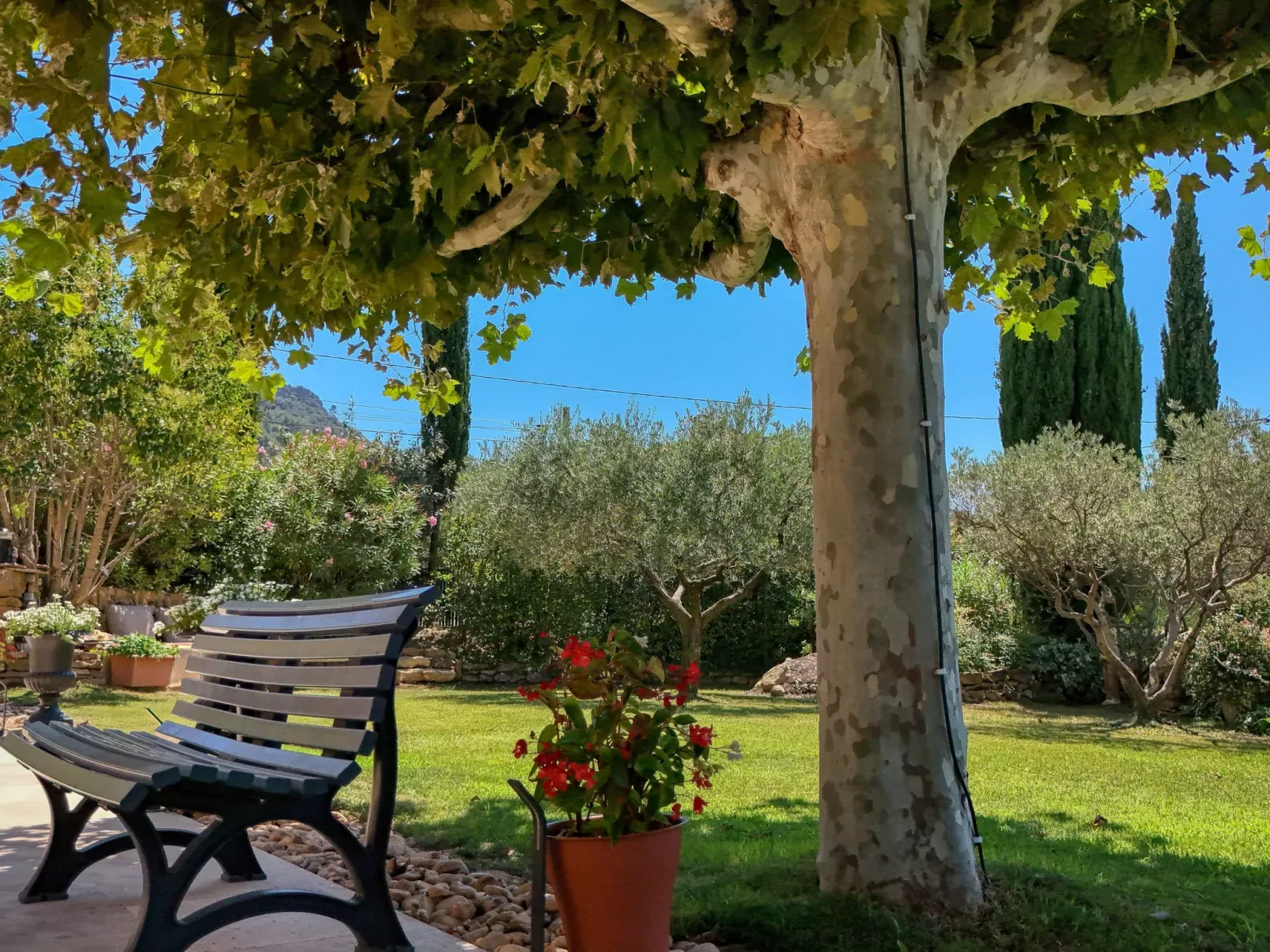 Villa Sainte Anne-Outside