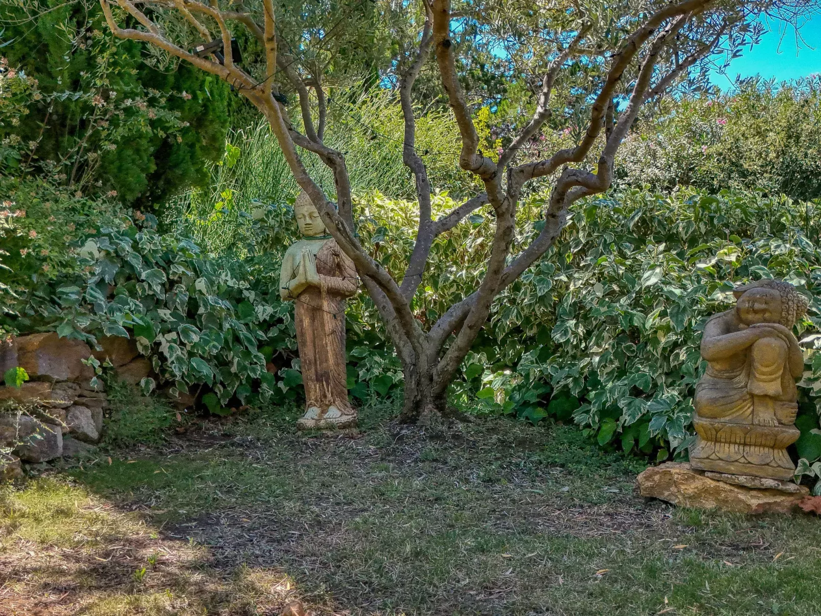 Villa Sainte Anne-Outside