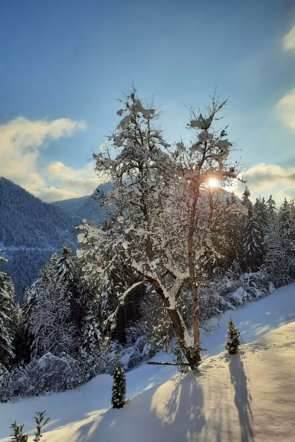 Ferienwohnung Alpenauszeit-Draußen