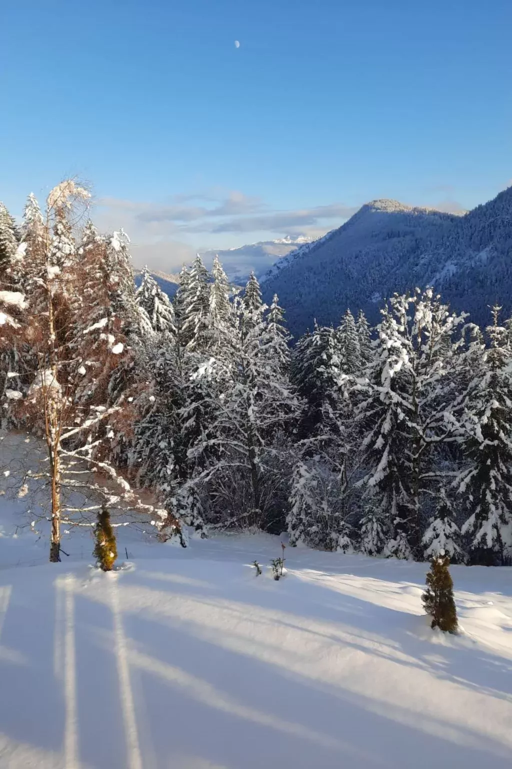 Ferienwohnung Alpenauszeit-Draußen