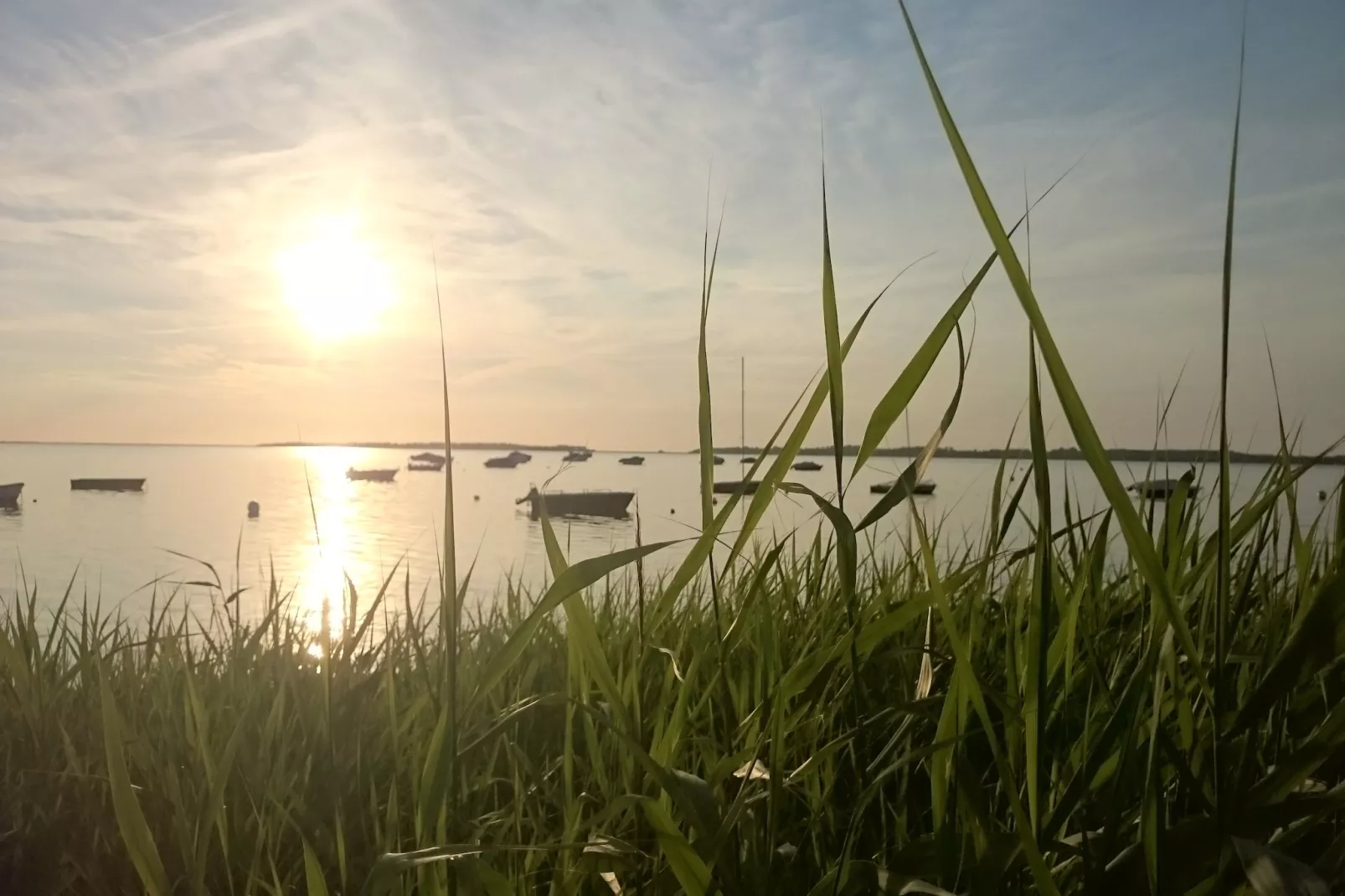 An der Bucht-View summer