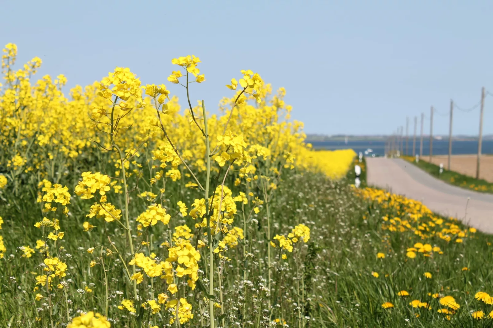 An der Bucht-Areas summer 1km