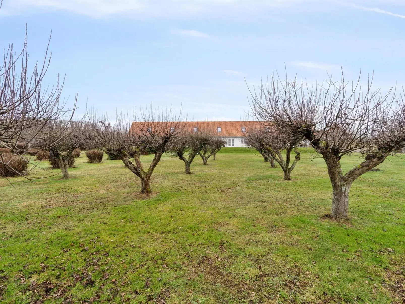 "Markus" - 300m from the sea-Outside