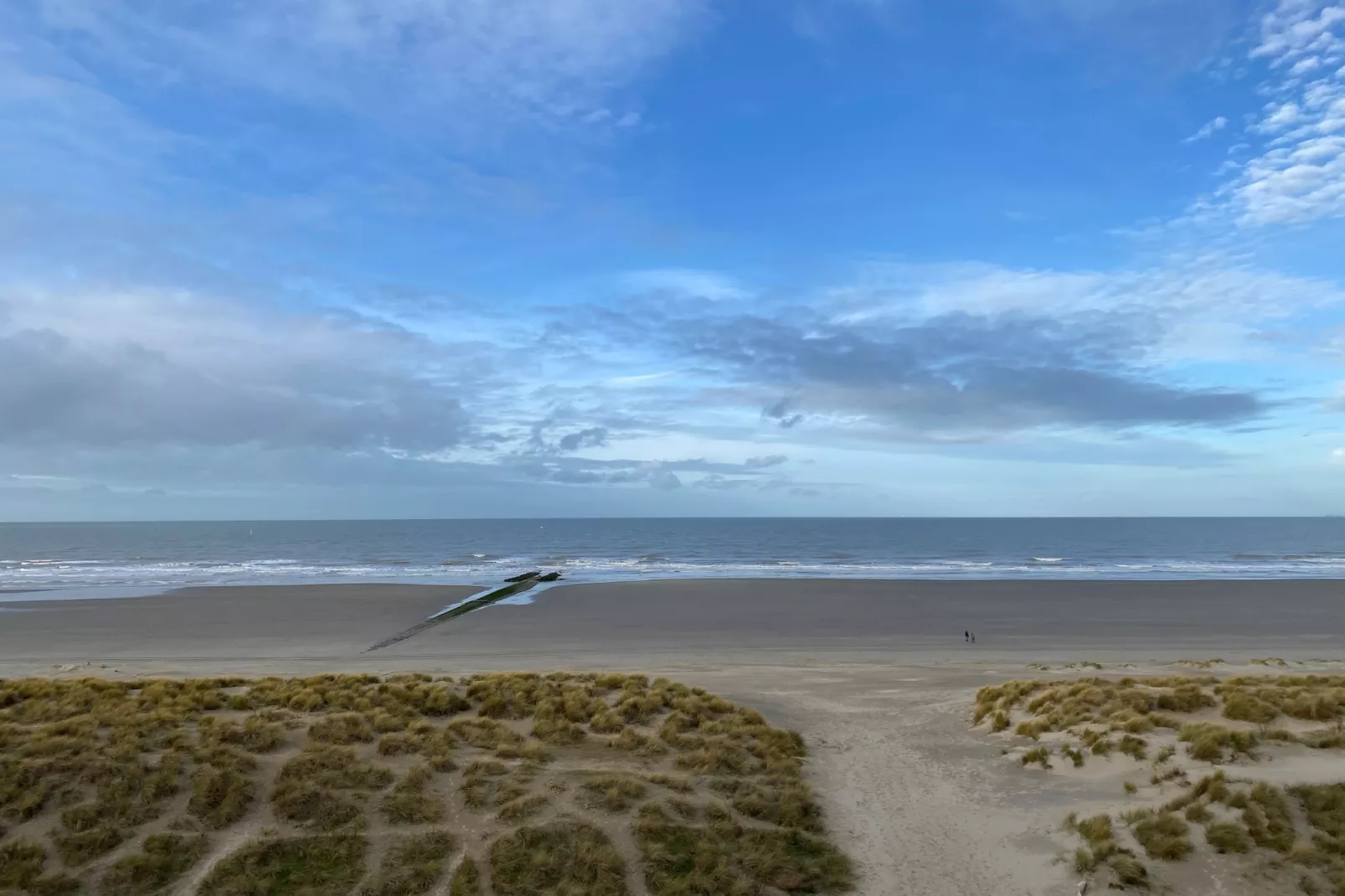 SEAWIND 503-Areas summer 1km