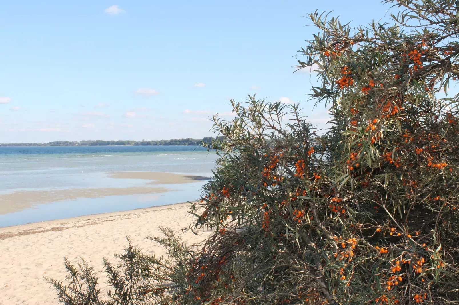 An der Bamburg-Areas summer 5km