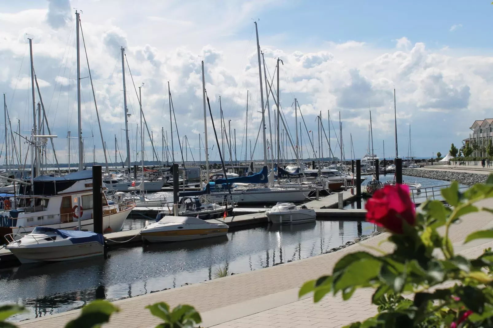 An der Bamburg-Areas summer 20km