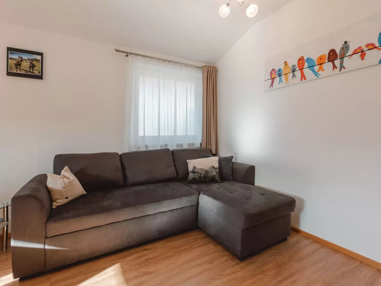 Apartment Fankhauser-Drinnen