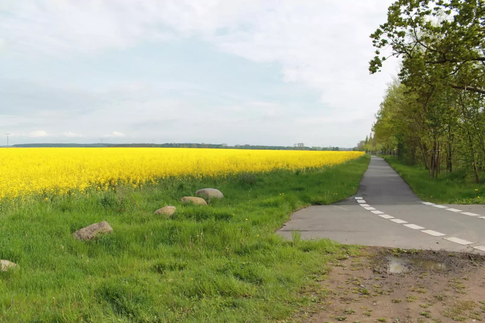 Seeblick