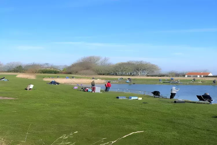 Schoneveld 184 Stern Breskens-Gebiete Sommer 5 km